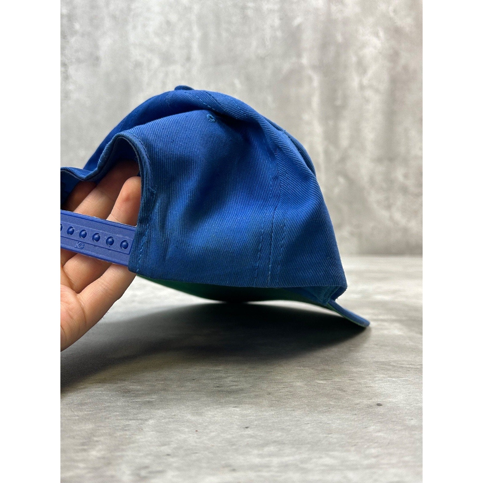 Vintage Greeneview Rams Embroidered Collegiate Logo Snapback Hat OSFA