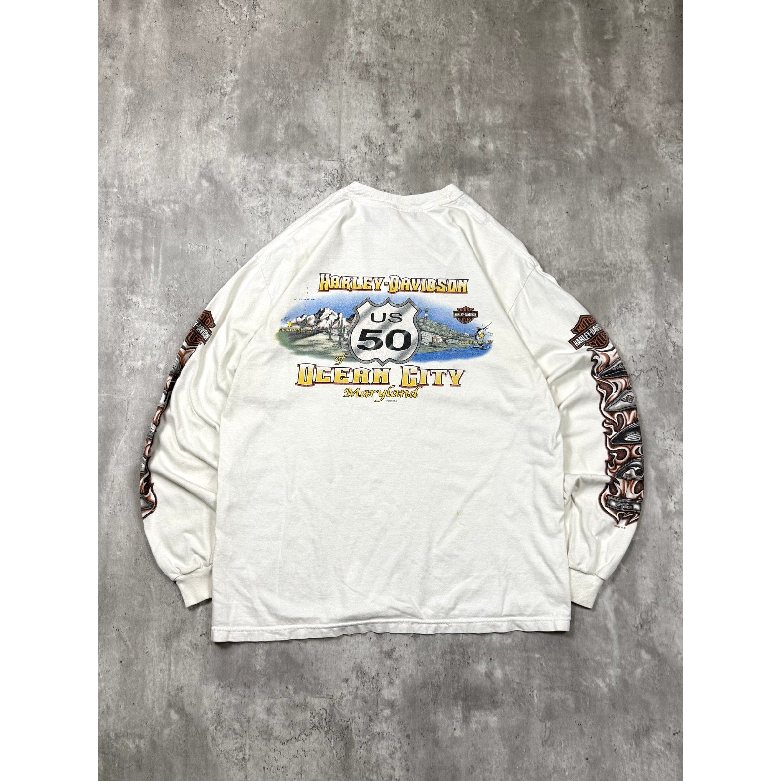 Vintage 2007 Harley Davidson Flame Graphic Spellout Long Sleeve T-Shirt Sz Large