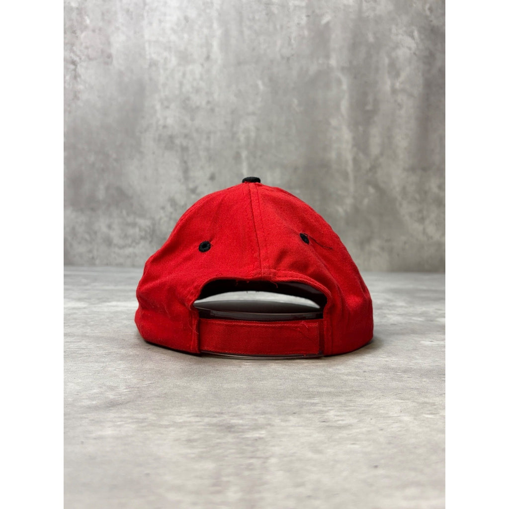 Vintage 1998 Looney Tunes Tasmanian Devil Embroidered Strapback Hat OSFA