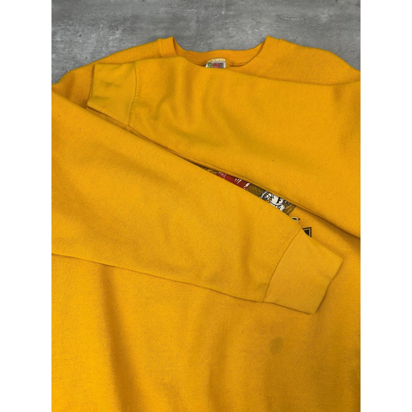 Vintage 2004 Iowa Vs Miami Outback Bowl NCAA Football Graphic Sweatshirt Size XL