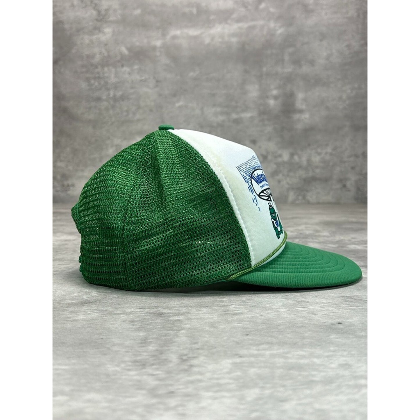 Vintage 1980s Watershed Toadstool Graphic Trucker Snapback Hat OSFA