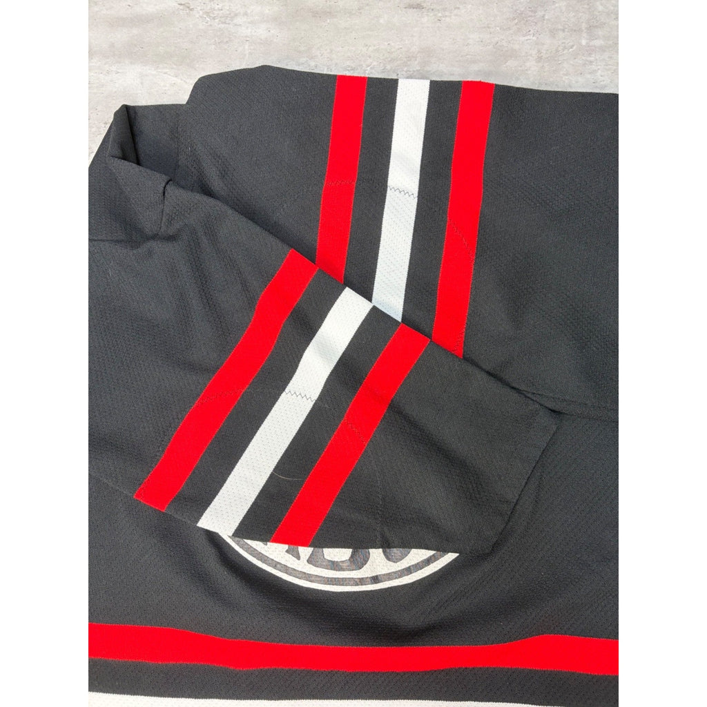 Vintage 80s/90s Dragons #12 Graphic Hockey Jersey Size XL