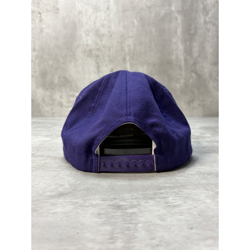 Vintage Minnesota Vikings NFL Embroidered Logo Snapback Hat OSFA