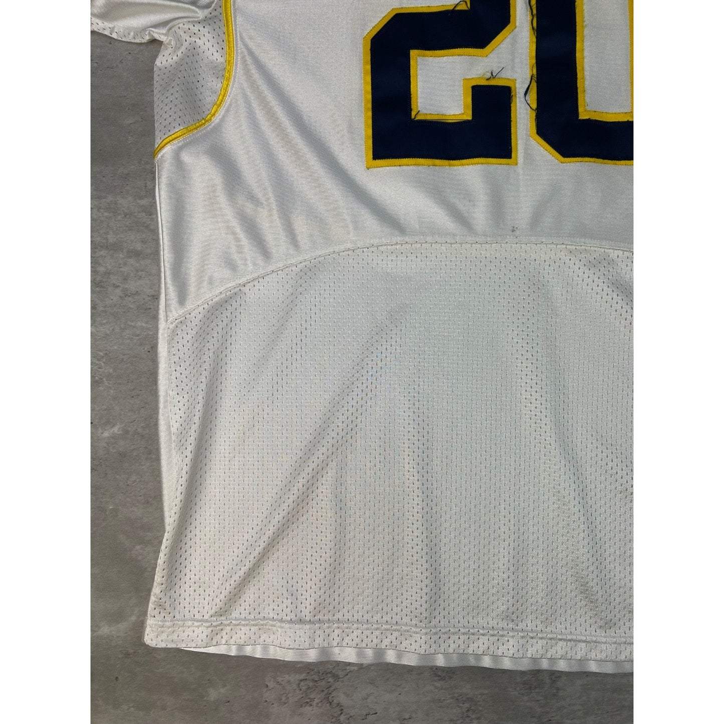 Vintage Michigan Wolverines #20 NCAA Nike Football Jersey Size XL