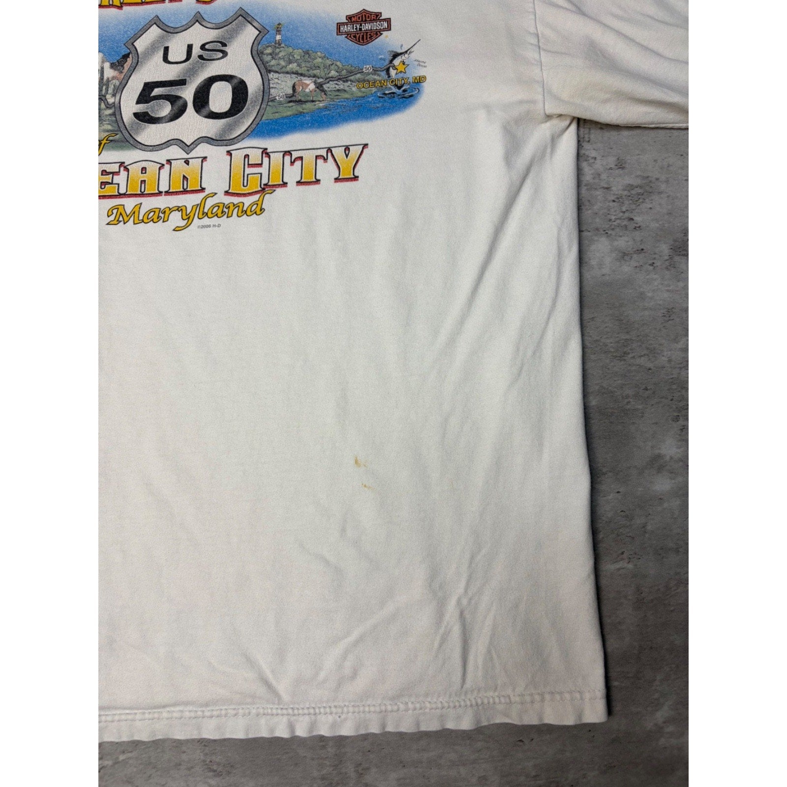 Vintage 2007 Harley Davidson Flame Graphic Spellout Long Sleeve T-Shirt Sz Large