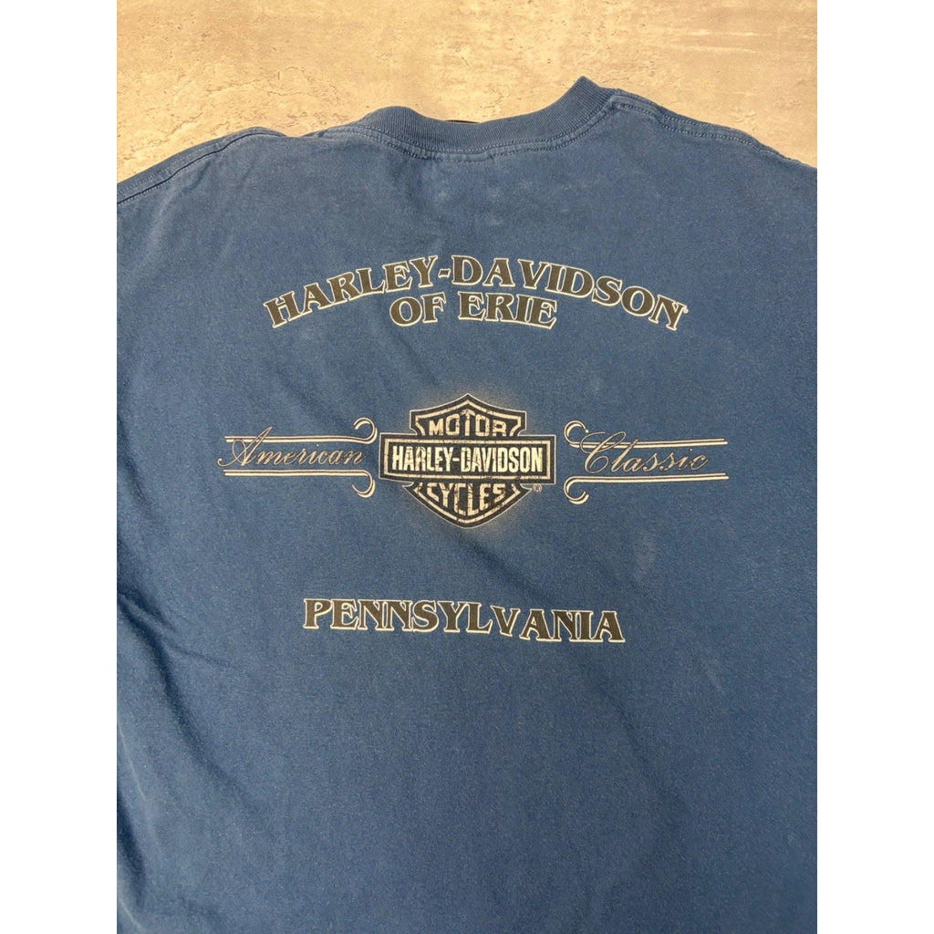 Vintage Harley Davidson American Classic Spellout Logo Graphic T-Shirt Sz Large