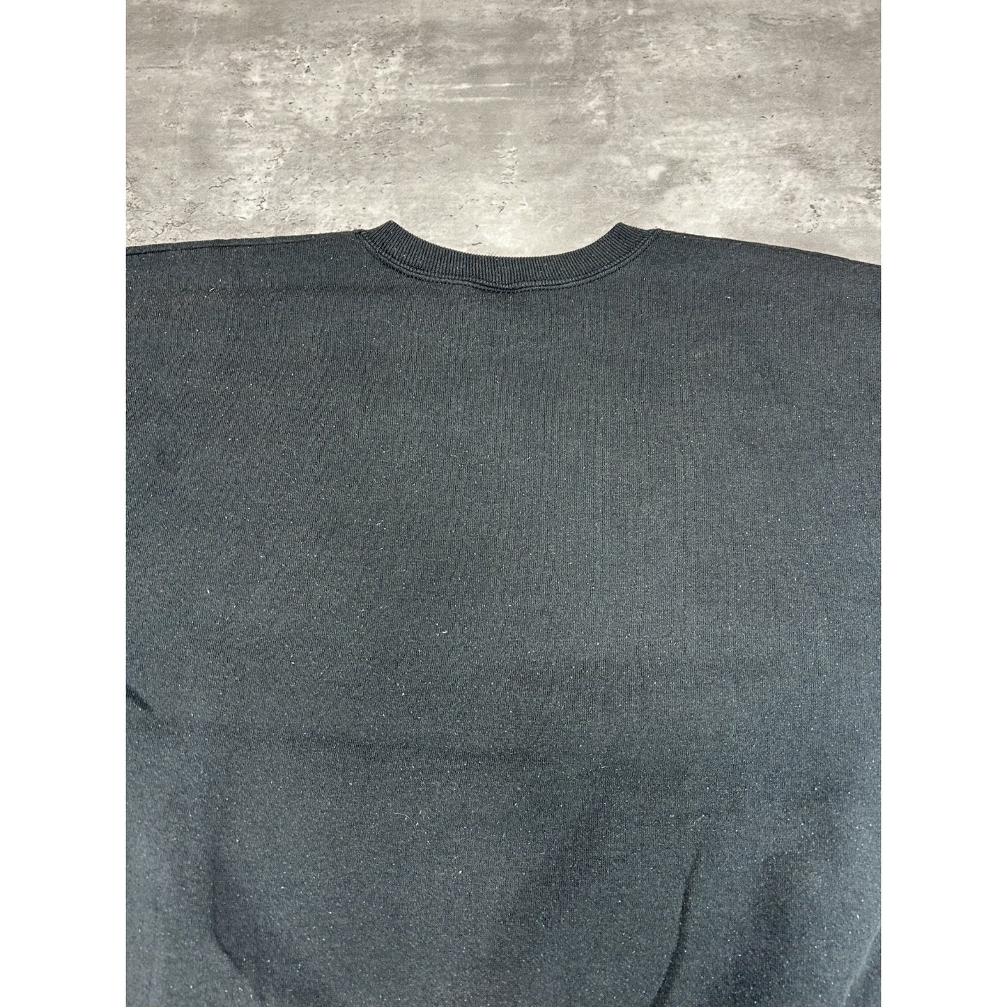 Vintage 90s Carolina Panthers NFL Big Graphic Logo Football Sweatshirt Sz Large