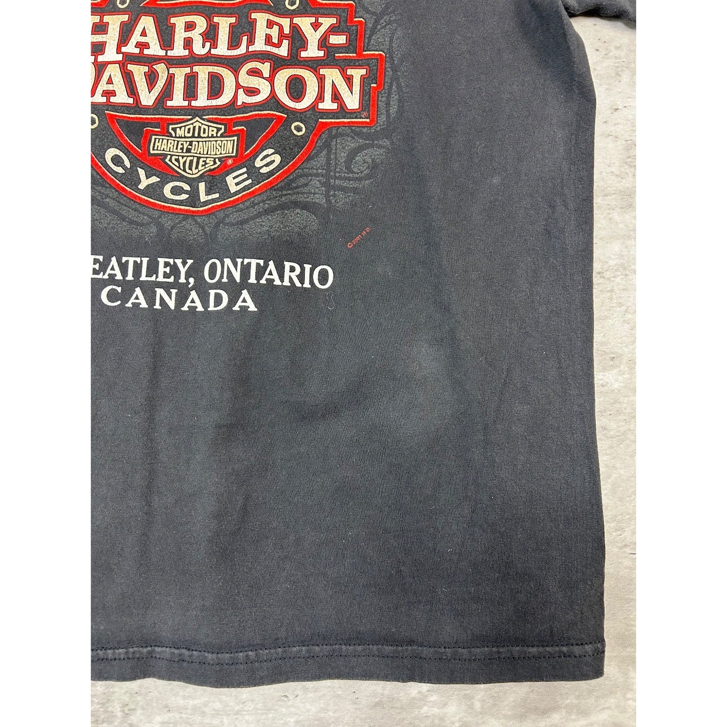 Vintage Harley Davidson Classic Logo Sleeve Print Long Sleeve T-Shirt Size Large