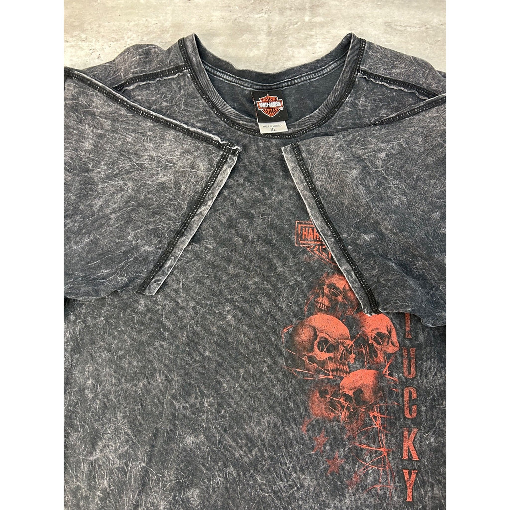 Vintage Harley Davidson Skull Graphic Spellout T-Shirt Size XL