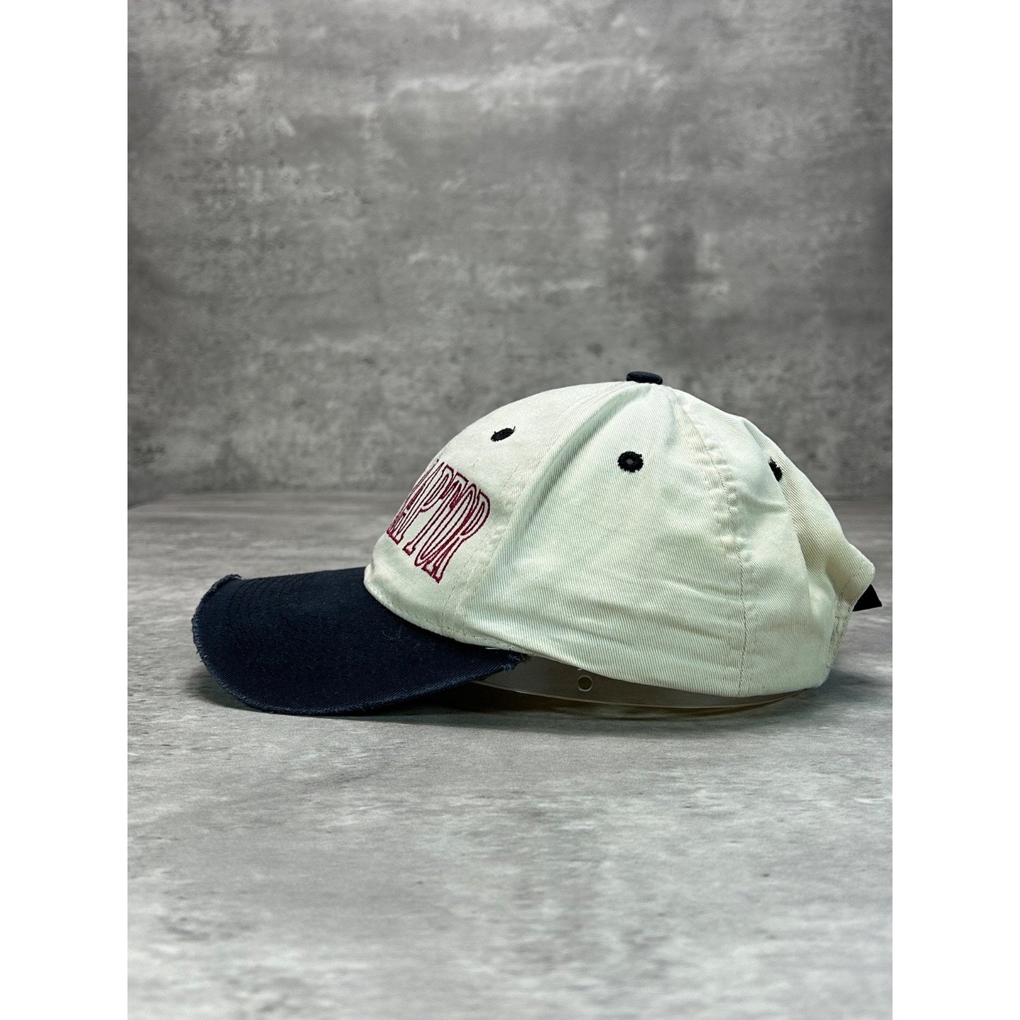 Vintage 1997 Jurassic Park The Lost World Raptor Embroidered Snapback Hat OSFA