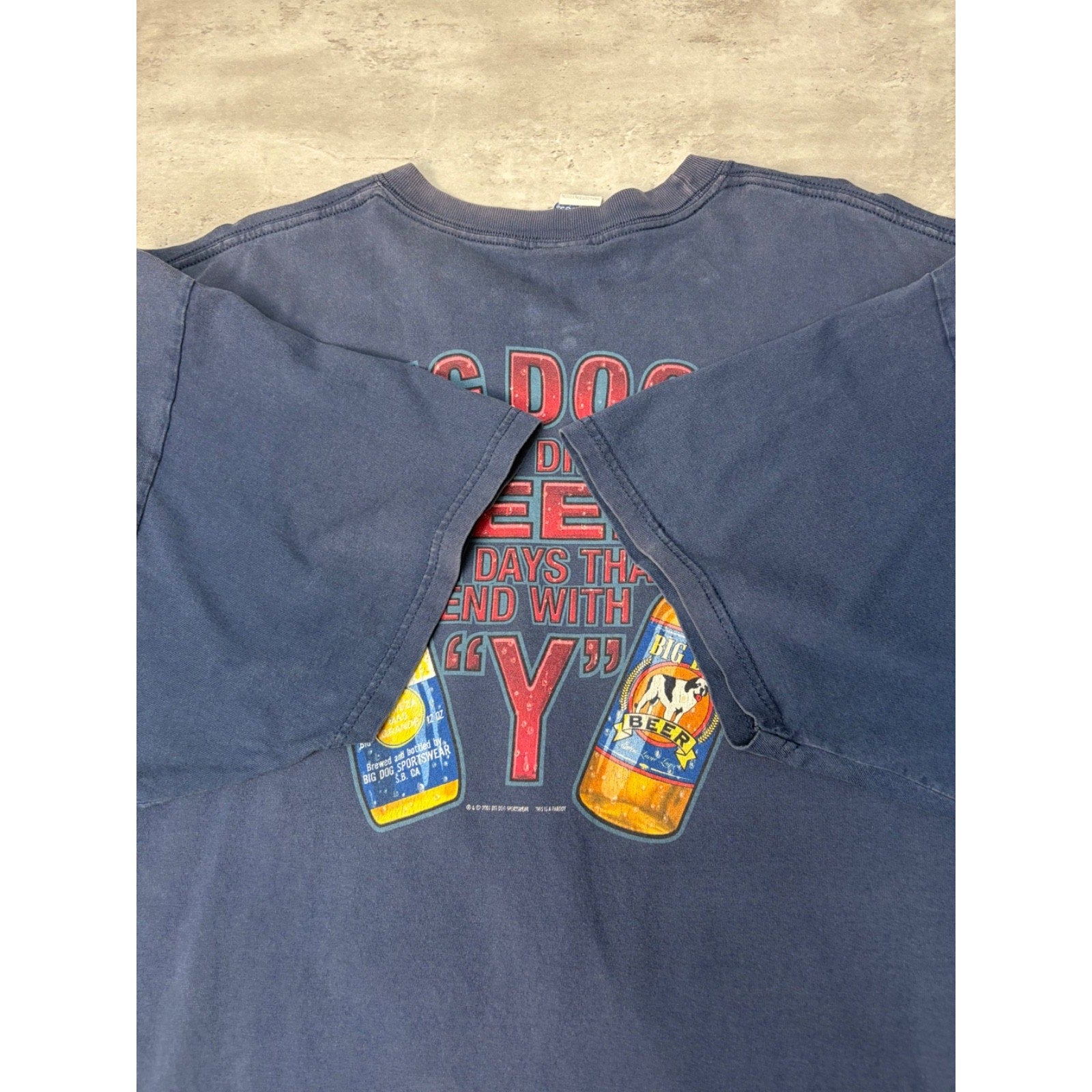 Vintage 2001 Big Dogs Drink Beer On Days That End In Y Slogan T-Shirt Size 3XL
