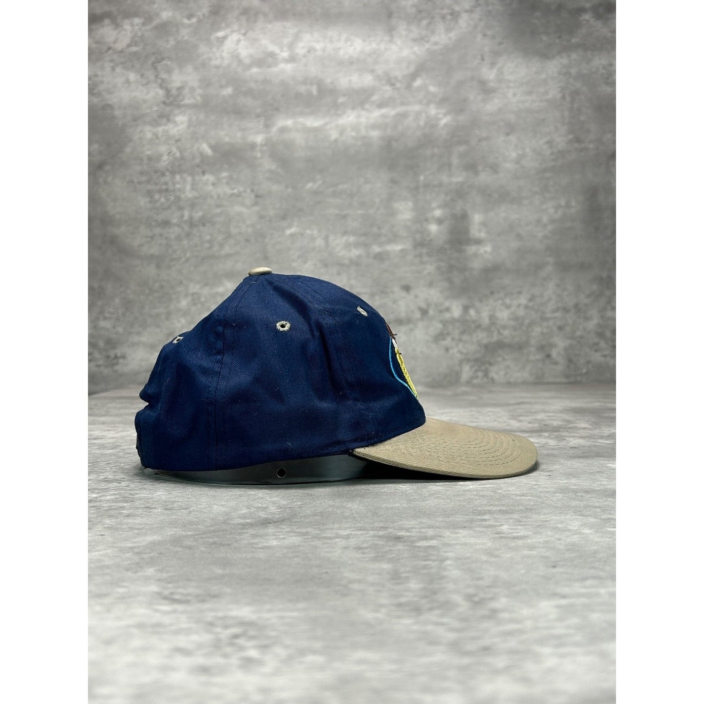 Vintage 1998 Looney Tunes Taz Embroidered Cartoon Character Snapback Hat OSFA