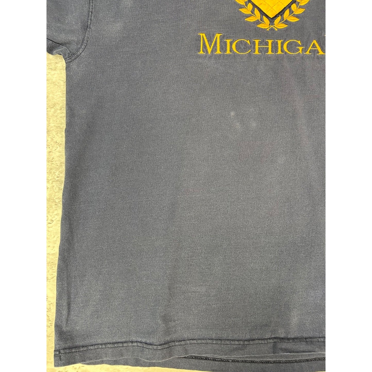 Vintage Michigan Wolverines NCAA Crest Graphic T-Shirt Size XL Blue