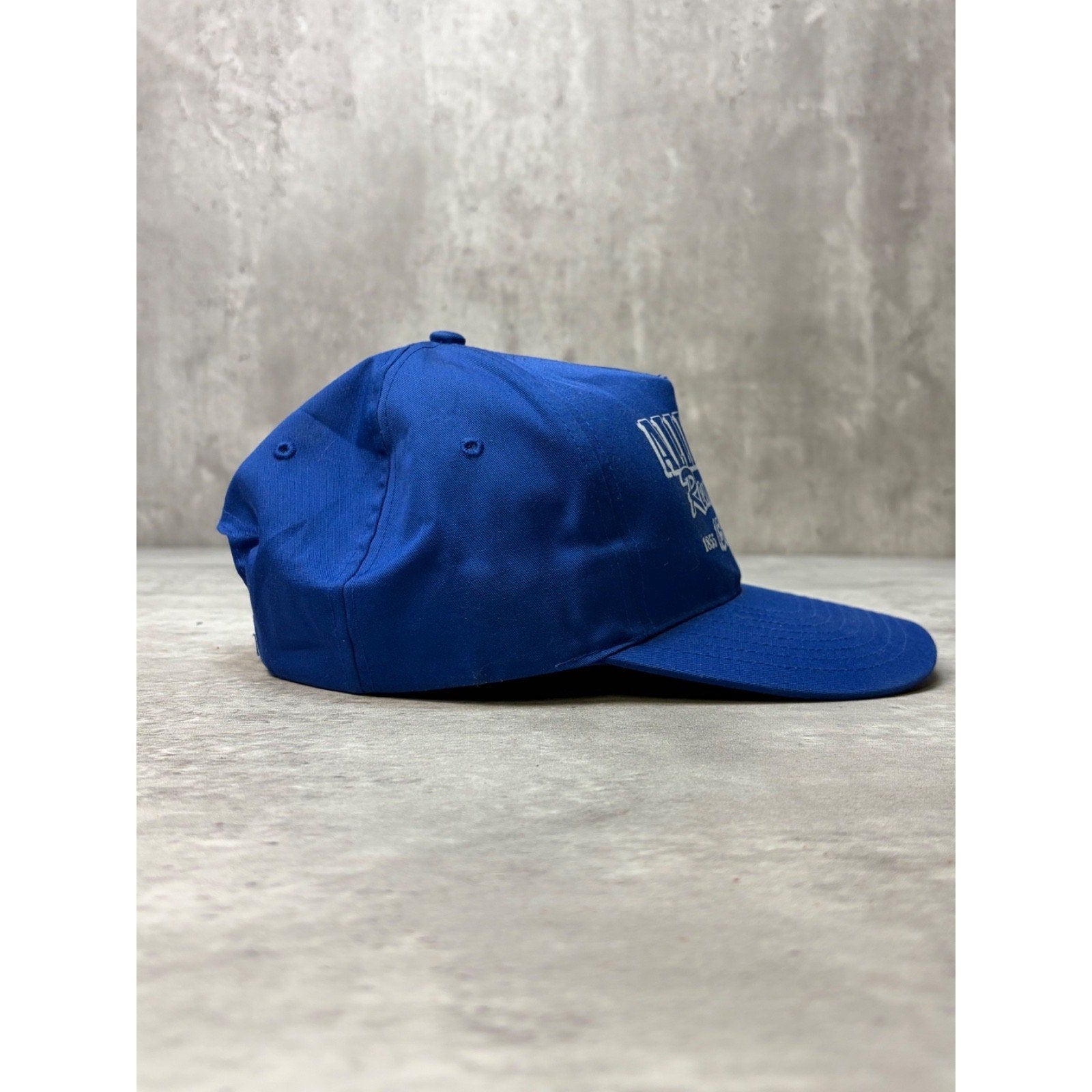 Vintage 2005 Allendale Remembers Spellout Snapback Hat OSFA