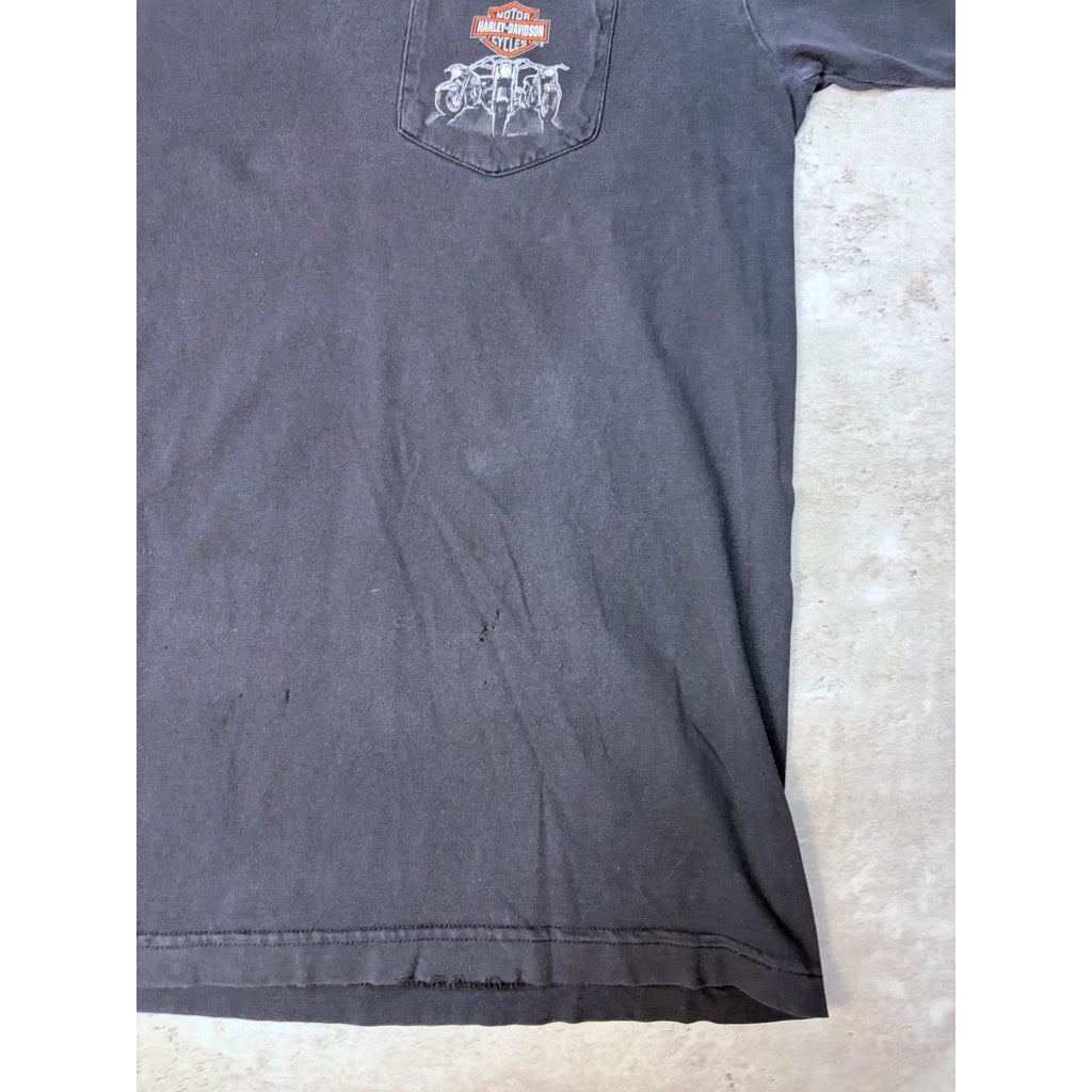 Vintage 2005 Harley Davidson Buffalo Destination Graphic T-Shirt Size Large