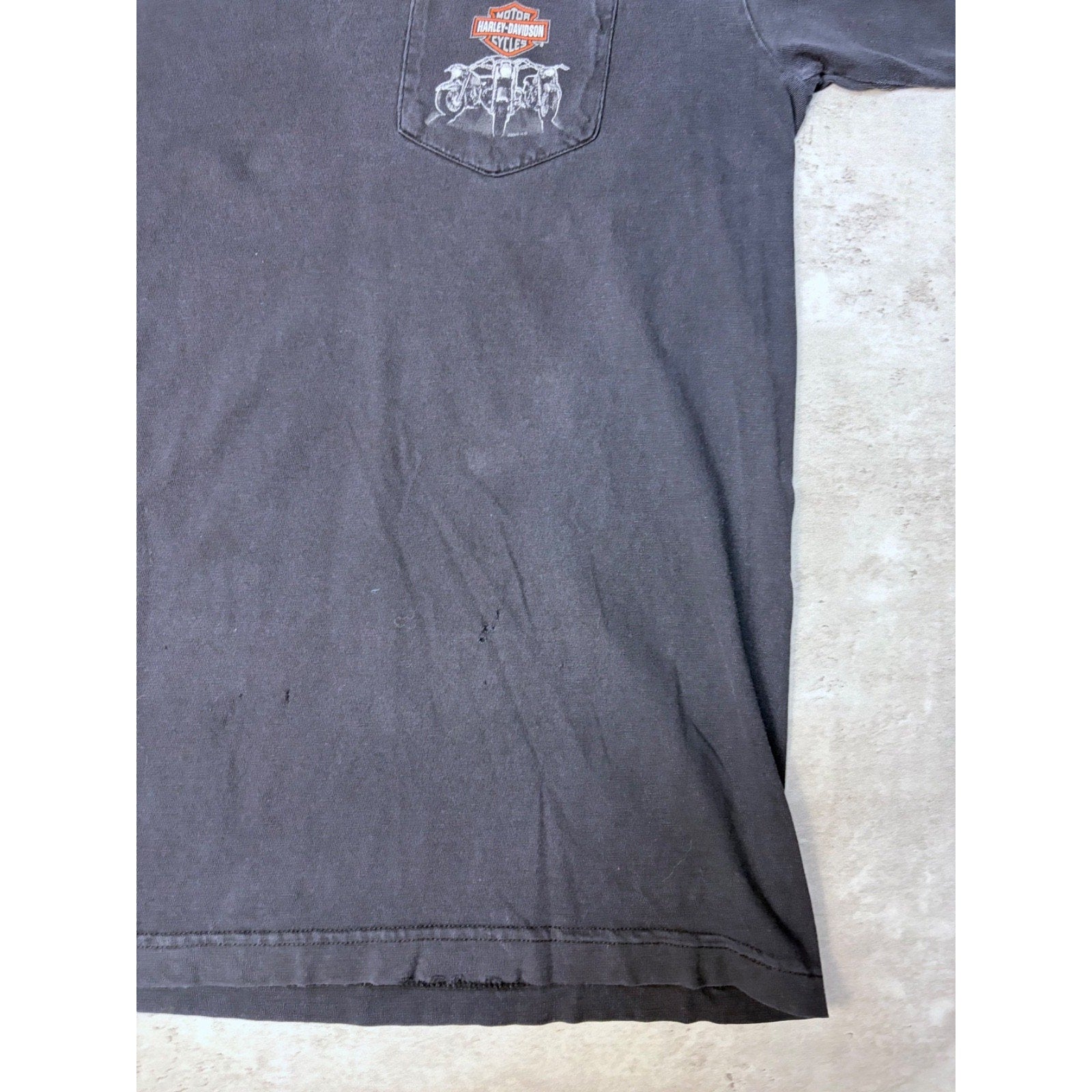 Vintage 2005 Harley Davidson Buffalo Destination Graphic T-Shirt Size Large