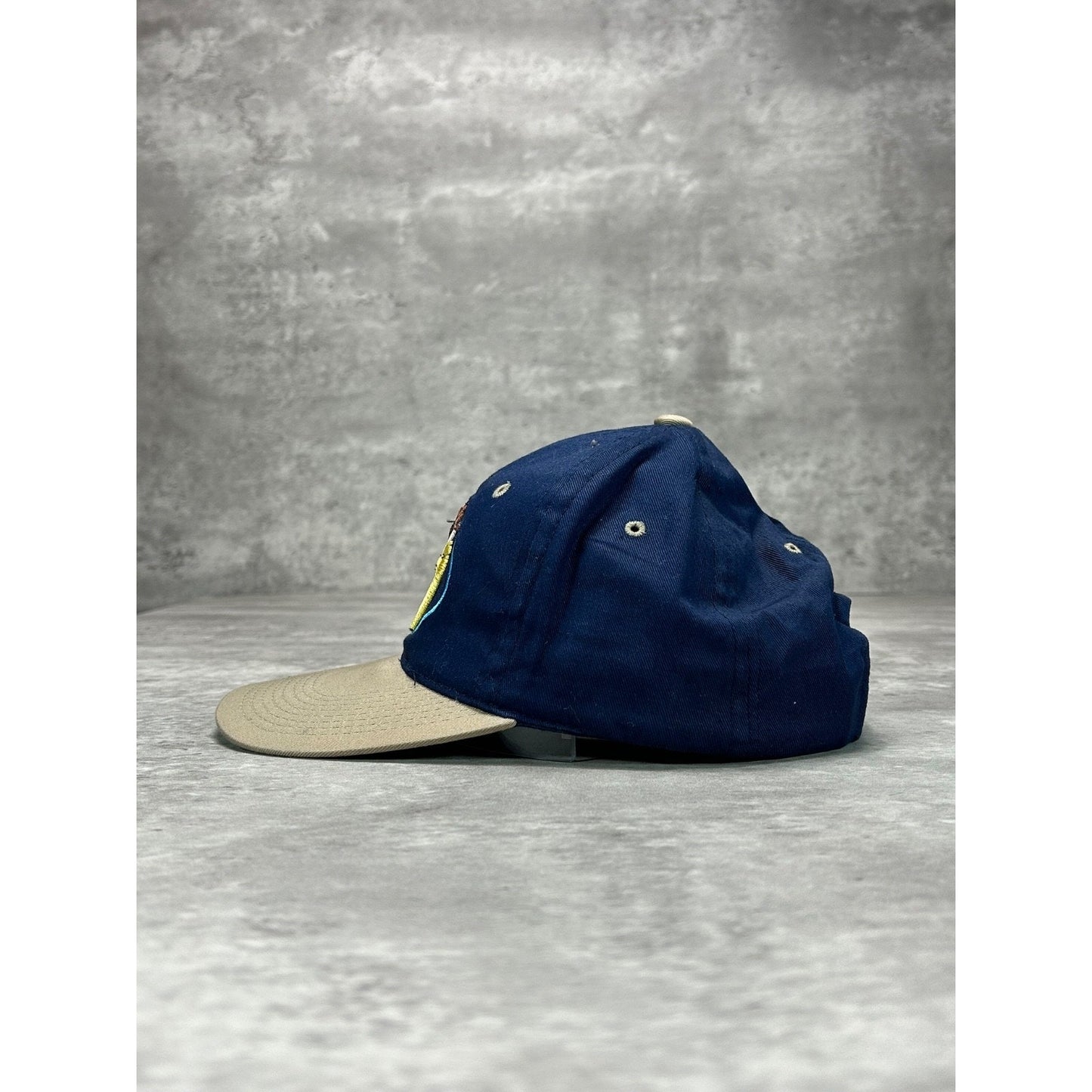 Vintage 1998 Looney Tunes Taz Embroidered Cartoon Character Snapback Hat OSFA