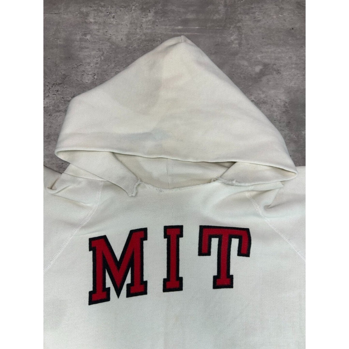 Vintage 80s Champion MIT Graphic Spellout Hooded Sweatshirt Size Large