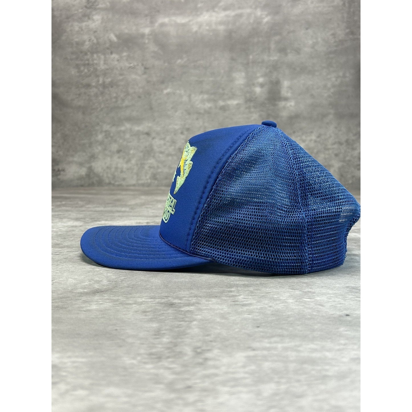 Vintage 80s Lake Erie Walleye Capital Of The World Trucker Snapback Hat OSFA