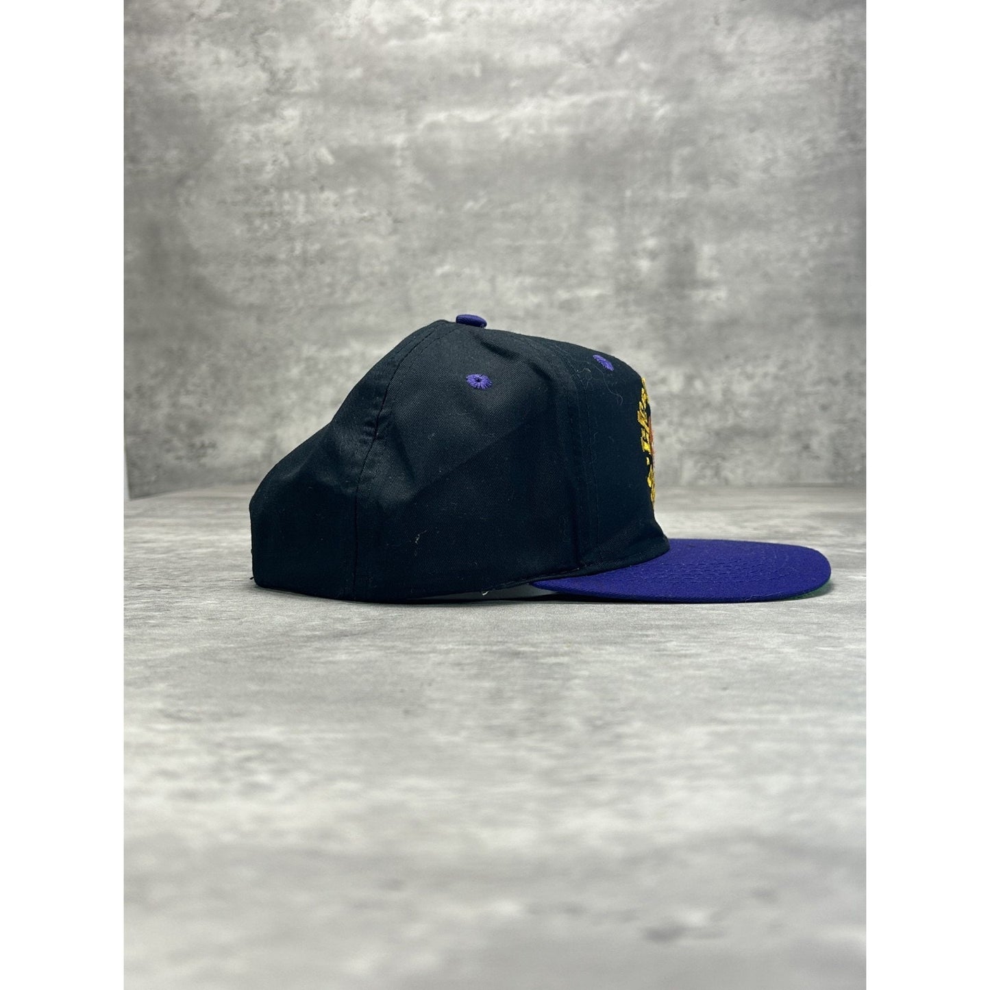 VTG Gatorade Life Is A Sport Drink It Up Sports Specialties Snapback Hat OSFA