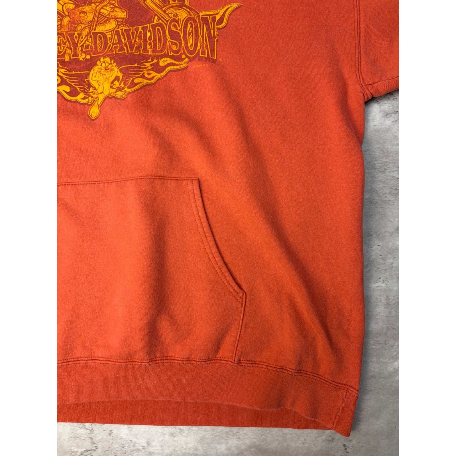 Vintage 2005 Harley Davidson One Bad Toy Looney Tunes Hooded Sweatshirt Size XL