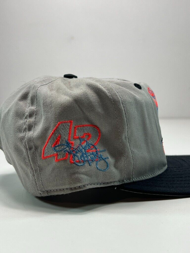 Vintage Kyle Petty #42 Nascar Coors Light Racing Embroidered Snapback Hat OSFA