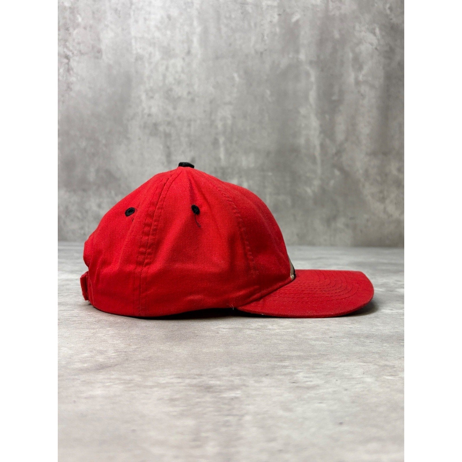 Vintage 1998 Looney Tunes Tasmanian Devil Embroidered Strapback Hat OSFA