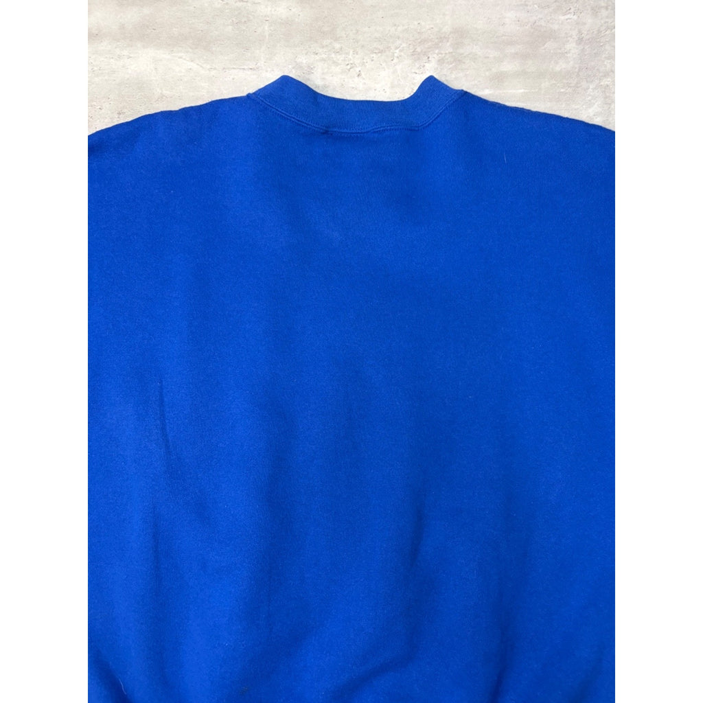 Vintage Detroit Lions NFL Embroidered Arc Spellout Sweatshirt Size Large