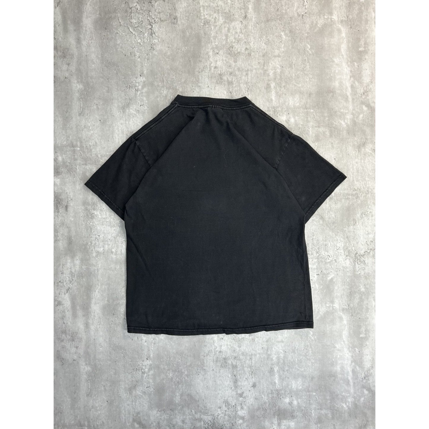 Vintage 1999 Buffalo Sabres NHL Eastern Conference Champs Graphic T-Shirt Large