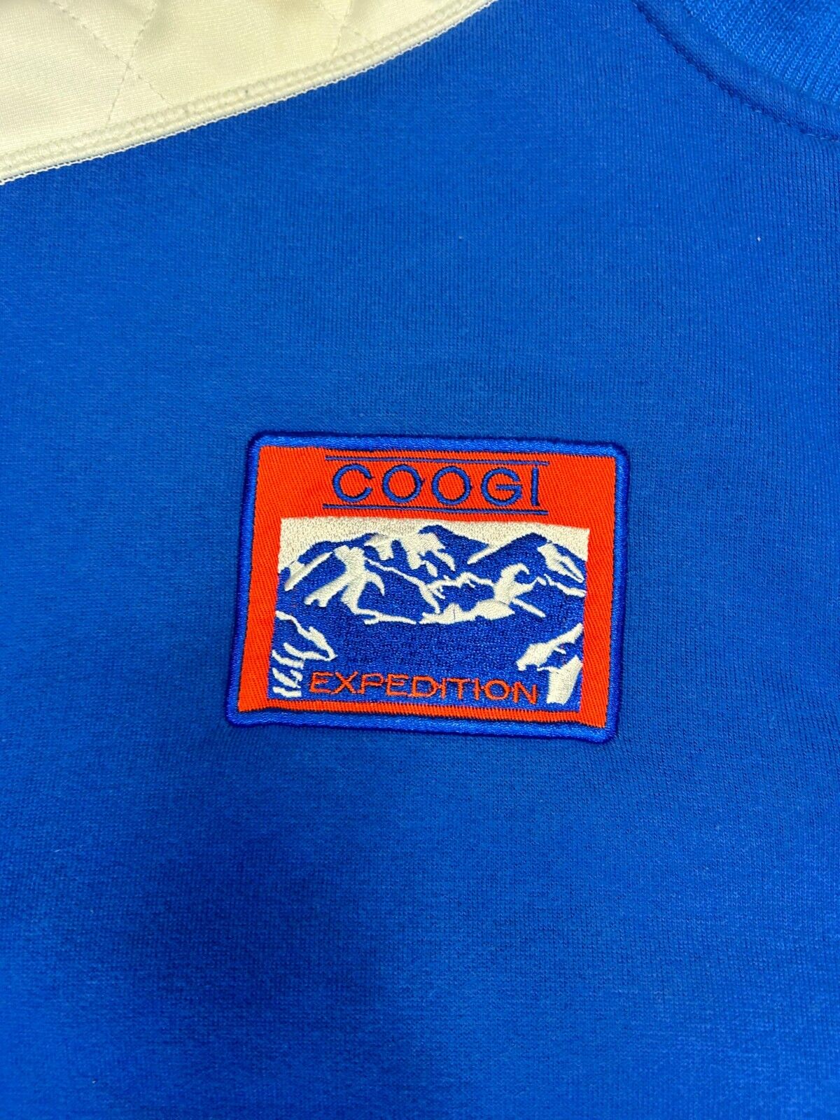 Vintage Coogi Mountain Technology 1/4 Zip Pull Over Sweatshirt Size Large Blue