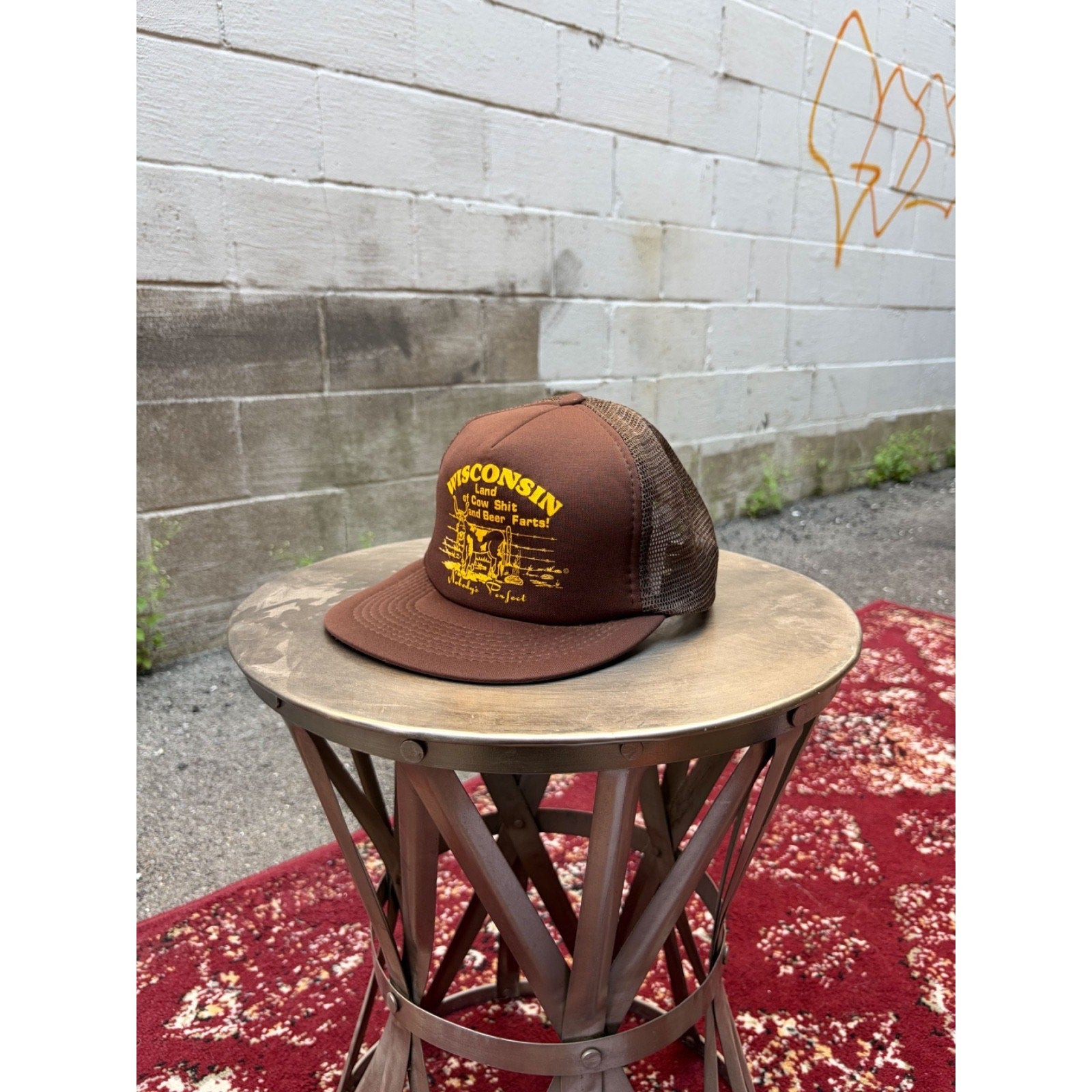 Vintage 80s/90s Wisconsin Land Of Cow Sh*t And Beer Farts Snapback Hat OSFA