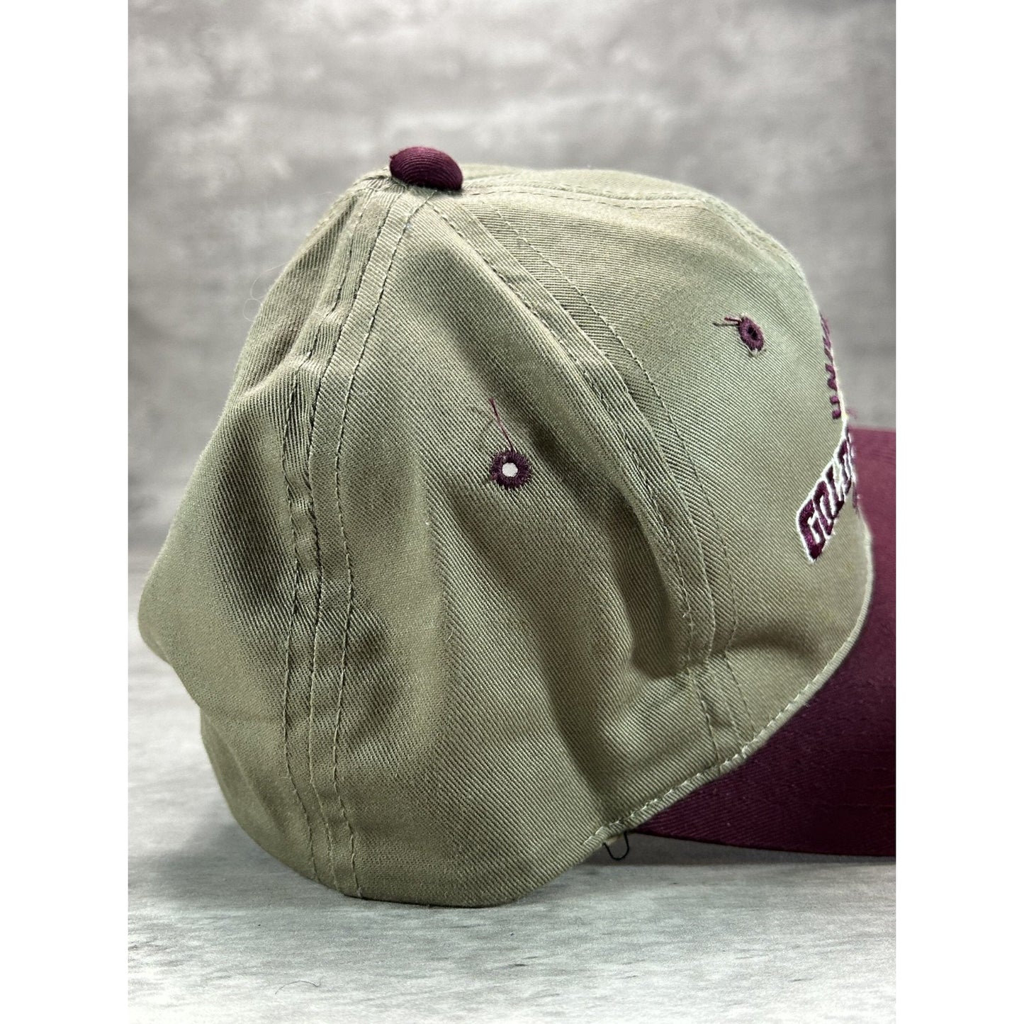 Vintage 90s Minnesota Golden Gophers NCAA Embroidered Snapback Hat OSFA