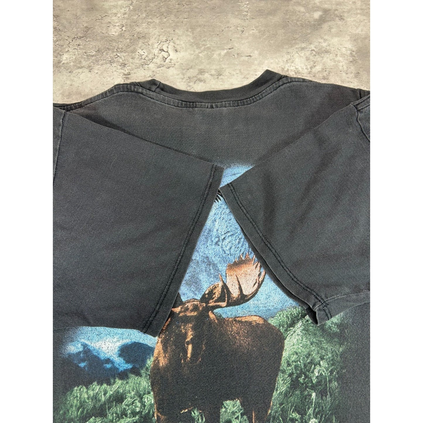 Vintage Bald Eagle Grizzly Bear Animal Nature Graphic AOP T-Shirt Size XL