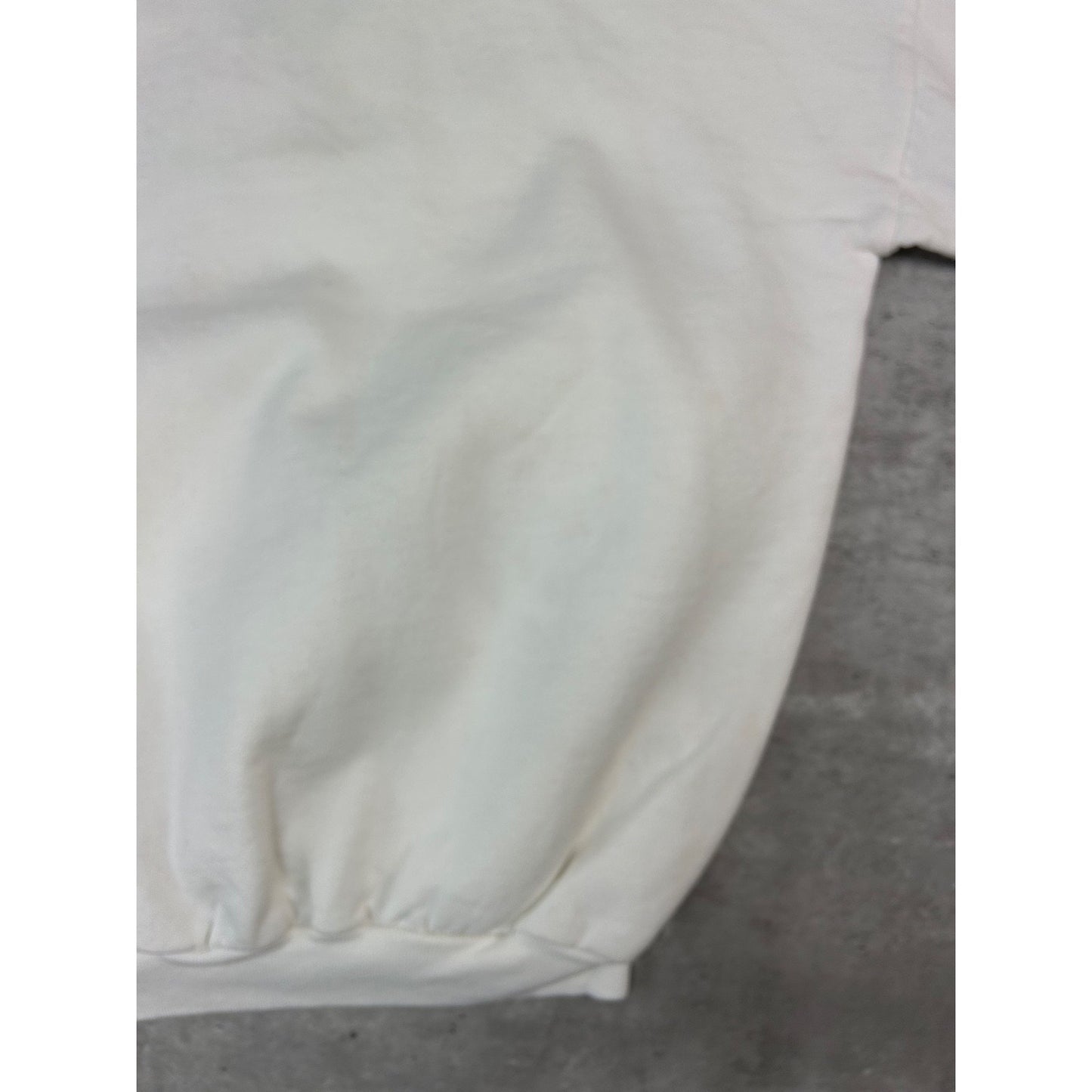 Vintage 90s Gatlinburg Embroidered Hummingbird Destination Sweatshirt Size XL