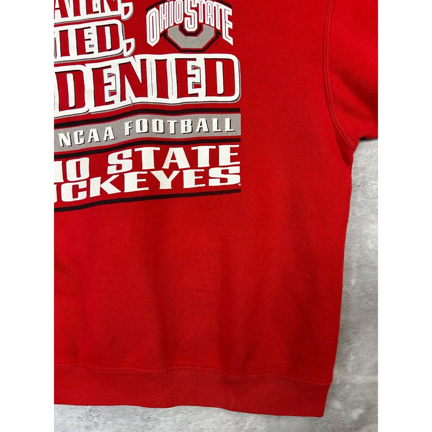 Vintage 2002 Ohio State Buckeyes NCAA Undefeated Football Sweatshirt YOUTH Large