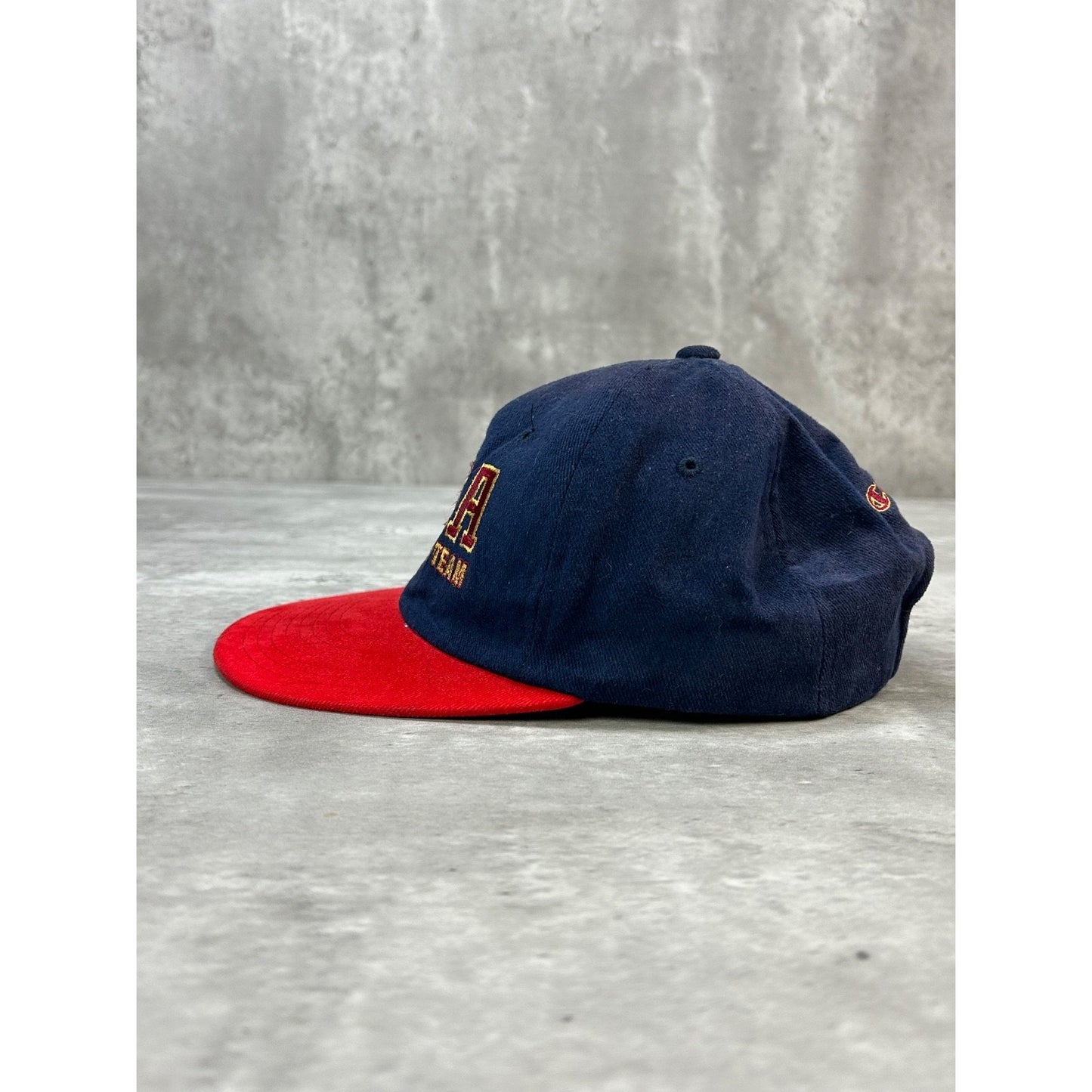 Vintage 90s USA Olympic Team Embroidered Spellout Crest Snapback Hat OSFA