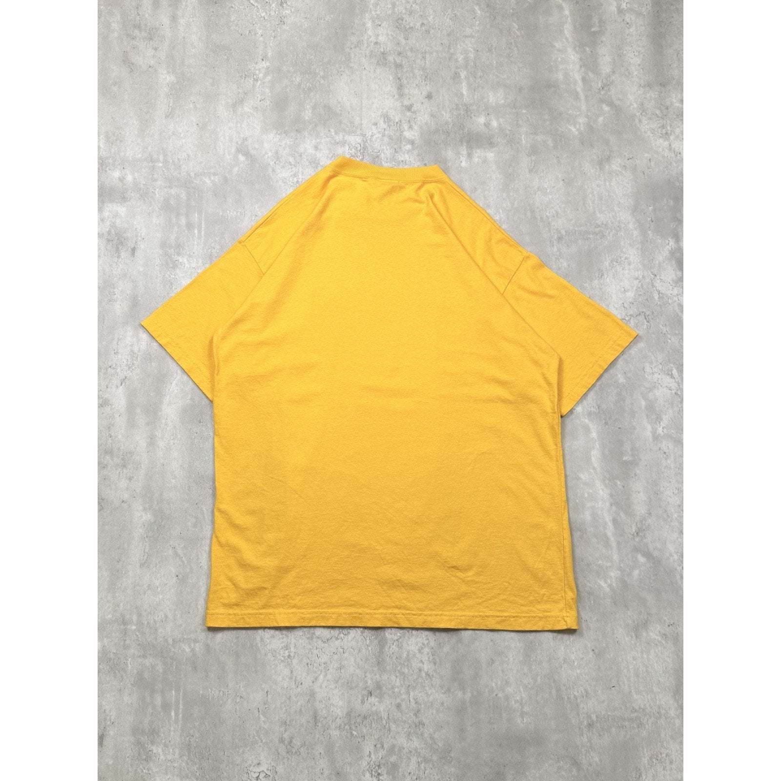 Vintage 90s Hamilton Tiger Cats CFL Spellout Logo Graphic T-Shirt Size Large