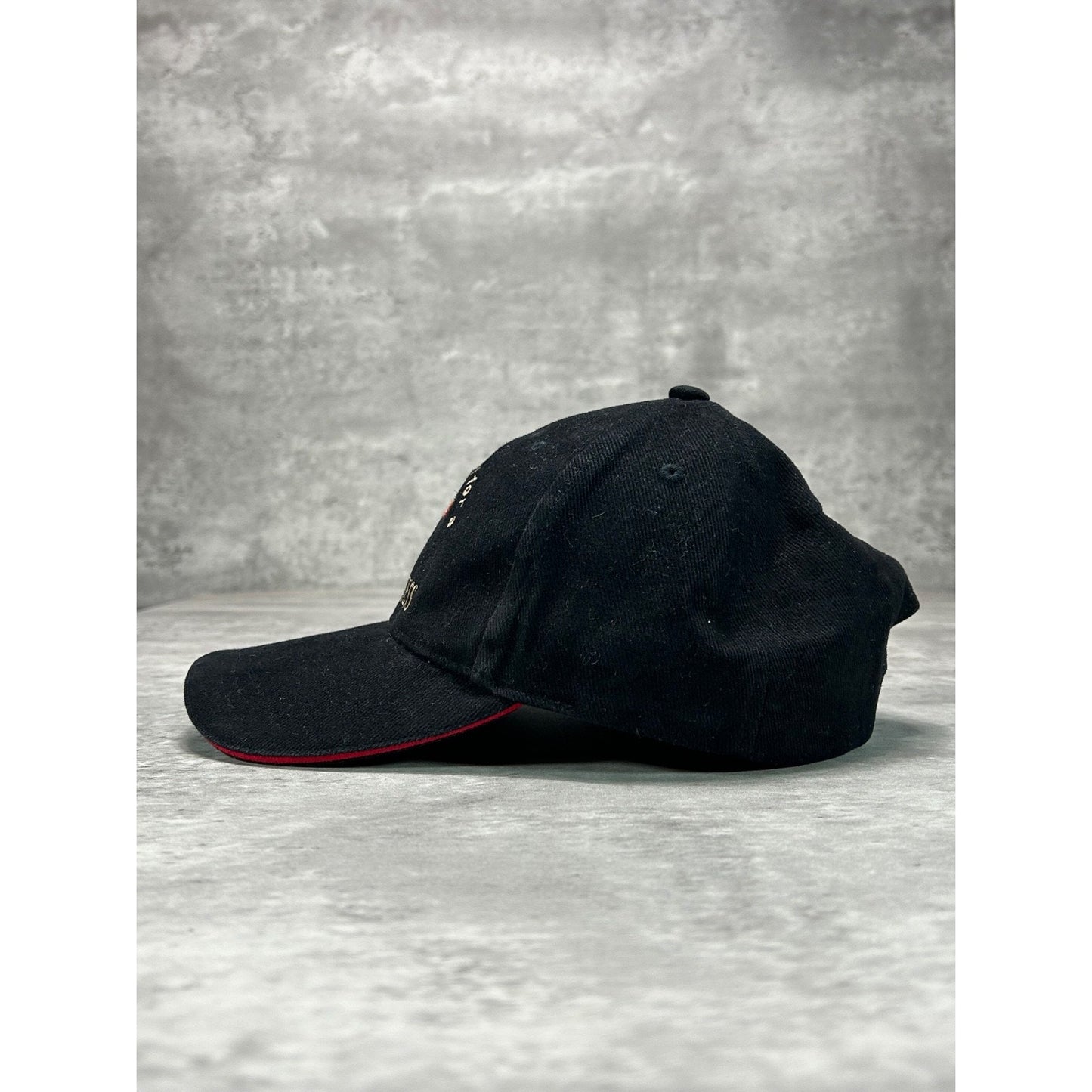 Vintage Guinness Embroidered Toucan Beer Promo Spellout Strapback Hat OSFA