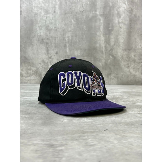 Vintage 90s Phoenix Coyotes NHL Embroidered Wave Spellout Snapback Hat OSFA