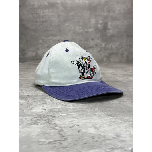 Vintage 1994 Animaniacs Embroidered Cartoon TV Show Promo Snapback Hat OSFA