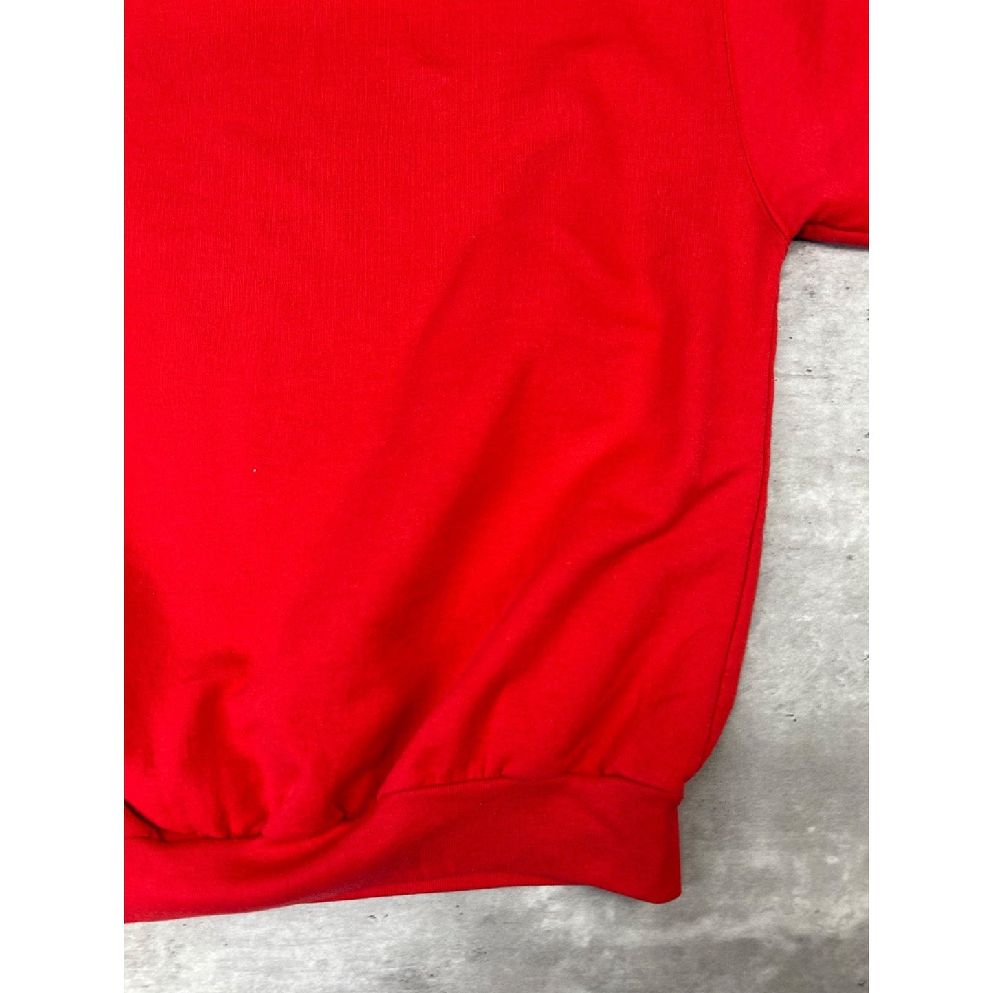 Vintage 90s Detroit Red Wings NHL Spellout Graphic Hooded Sweatshirt Size Large