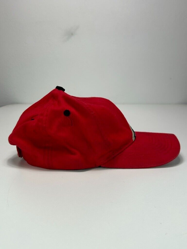 Vintage 1996 Looney Tunes Taz Embroidered Character Strapback Hat OSFA Red