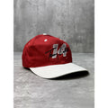 Vintage 1993 Terry Labonte #14 Embroidered Spellout Nascar Snapback Hat OSFA