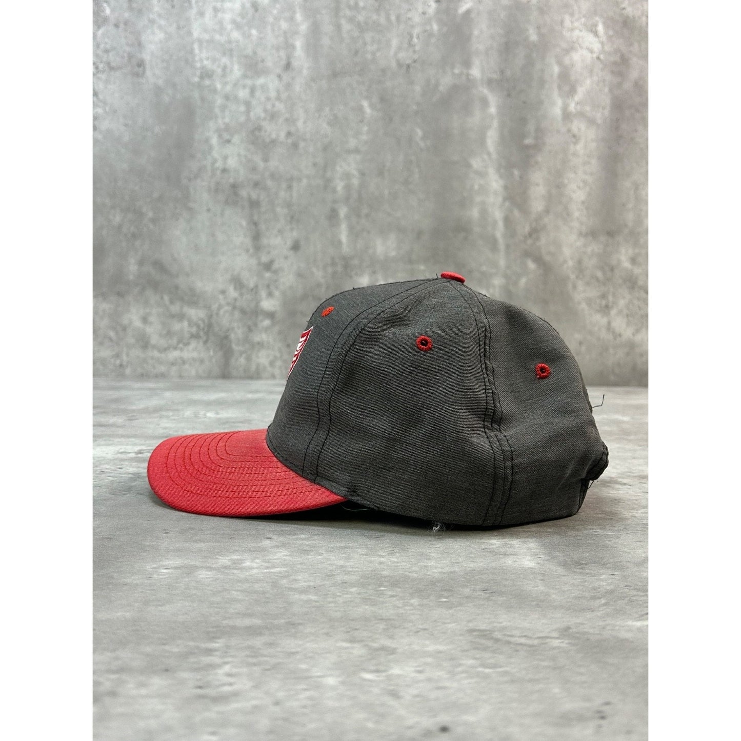 Vintage 90s Detroit Red Wings MLB Embroidered Logo Hockey Snapback Hat OSFA