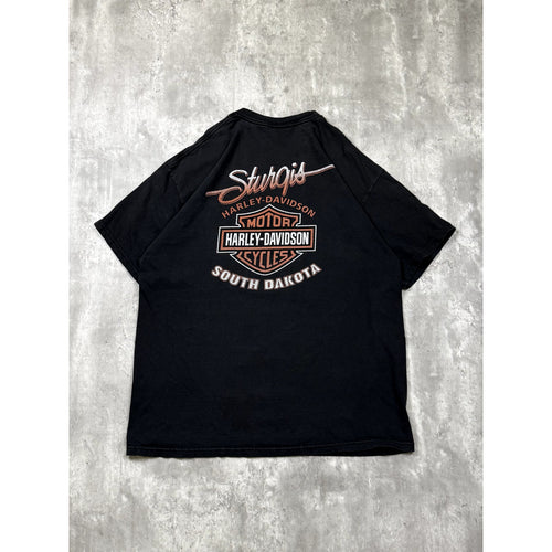 Harley Davidson Sturgie Black Hilly Rally Eagle Graphic T-Shirt Size 2XL