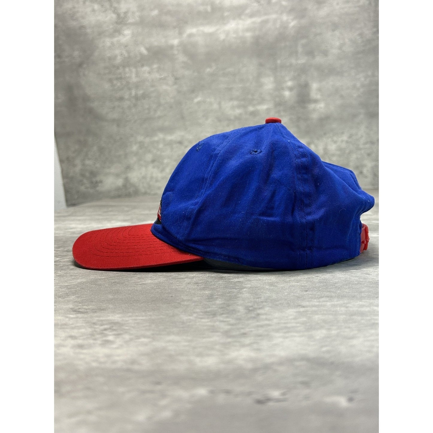Vintage 1996 Montreal Canadiens NHL Looney Tunes Taz Snapback Hat OSFA