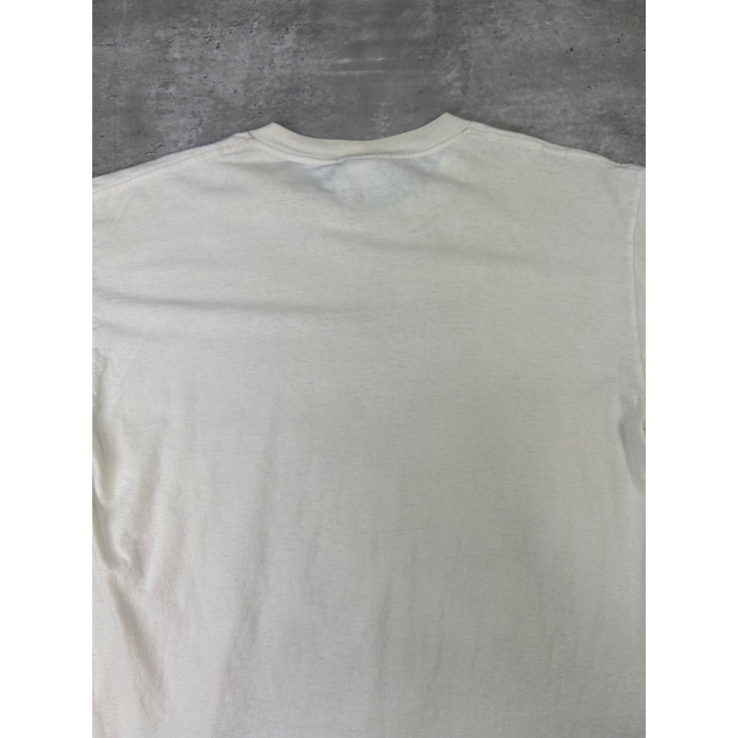 Vintage 1998 Detroit Red Wings Back To Back Stanley Cup Champs T-Shirt Sz Large