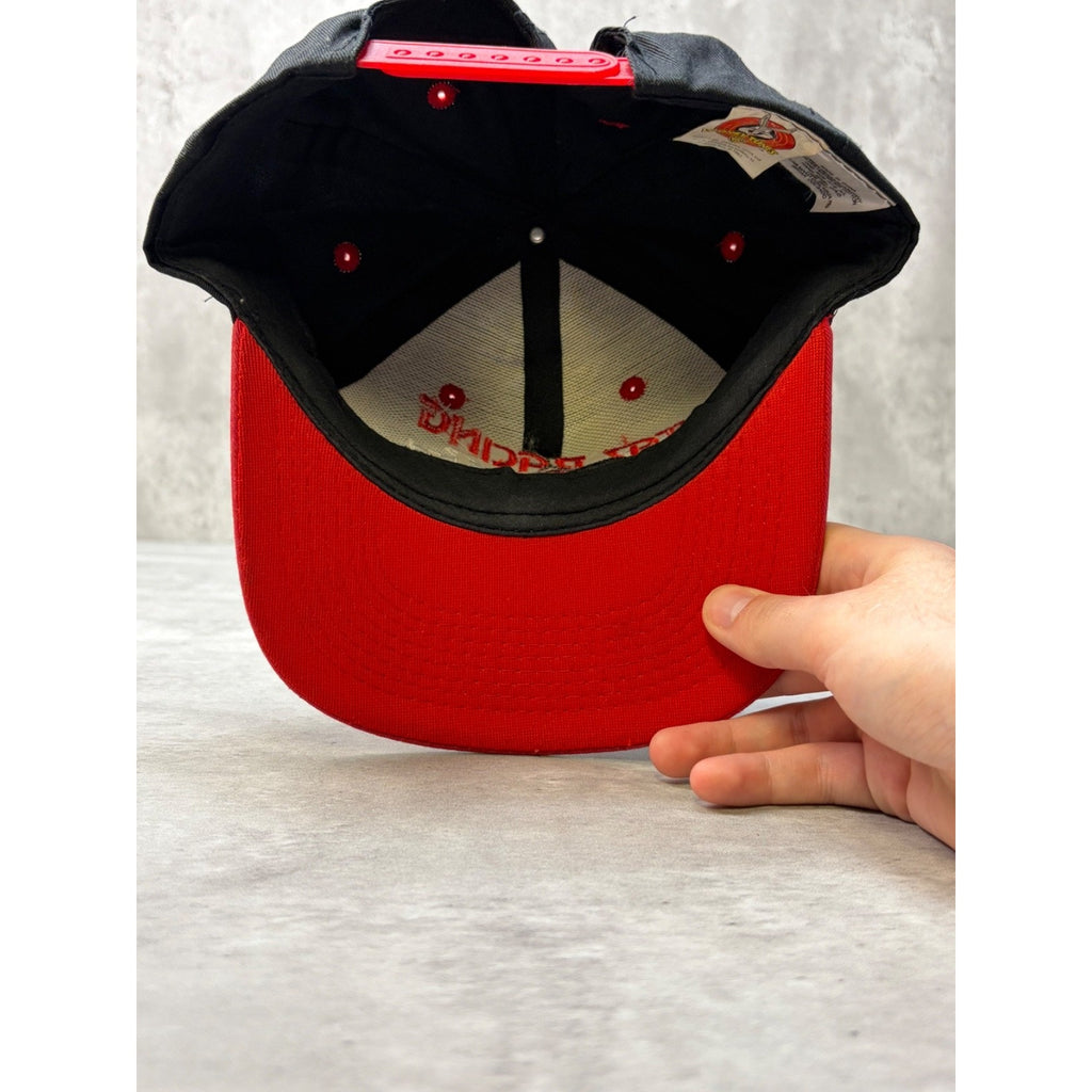 Vintage 1997 Nascar Looney Tunes Taz Racing Embroidered Snapback Hat OSFA
