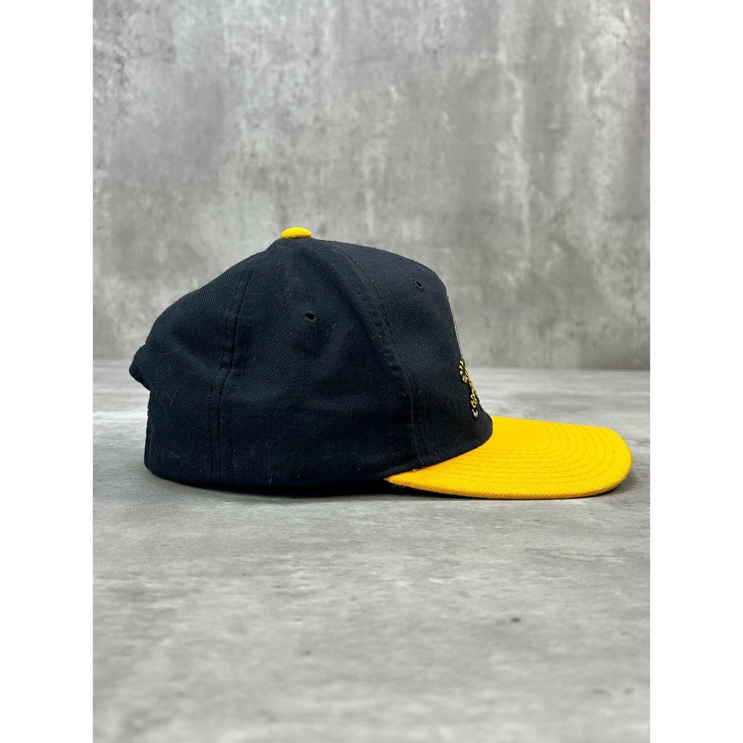 Vintage 90s Hamilton Tiger Cats CFL Embroidered Starter Snapback Hat OSFA