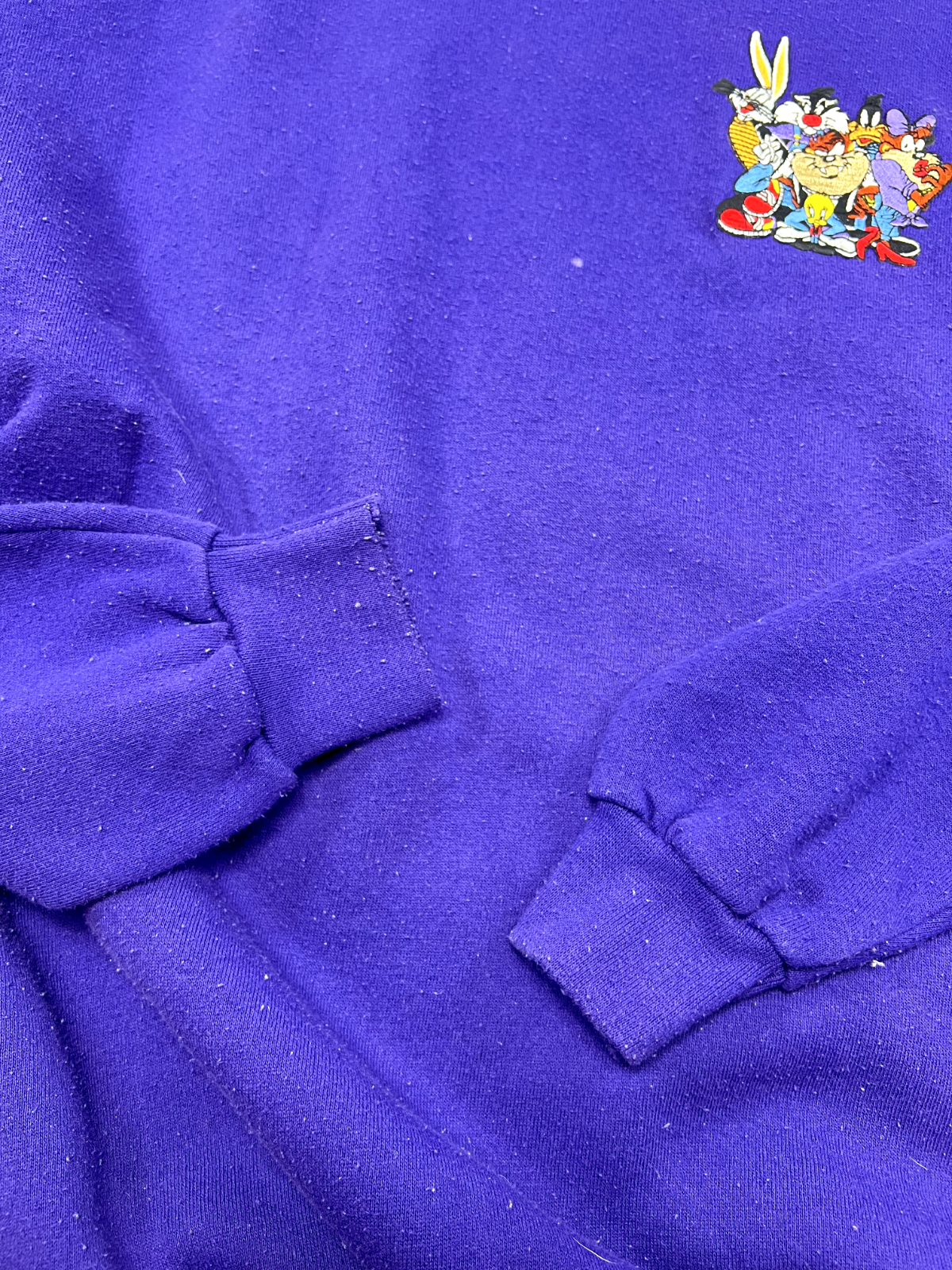 Vintage 1995 Looney Tunes Crew Logo Front And Back Sweatshirt Sz 3XL 90s Purple